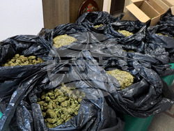 Варна - ОДМВР Варна - брифинг