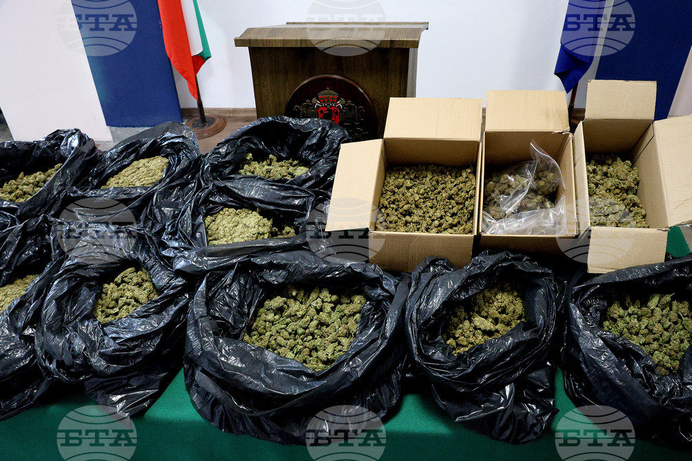 Varna Police Seize Marijuana Worth BGN 250,000