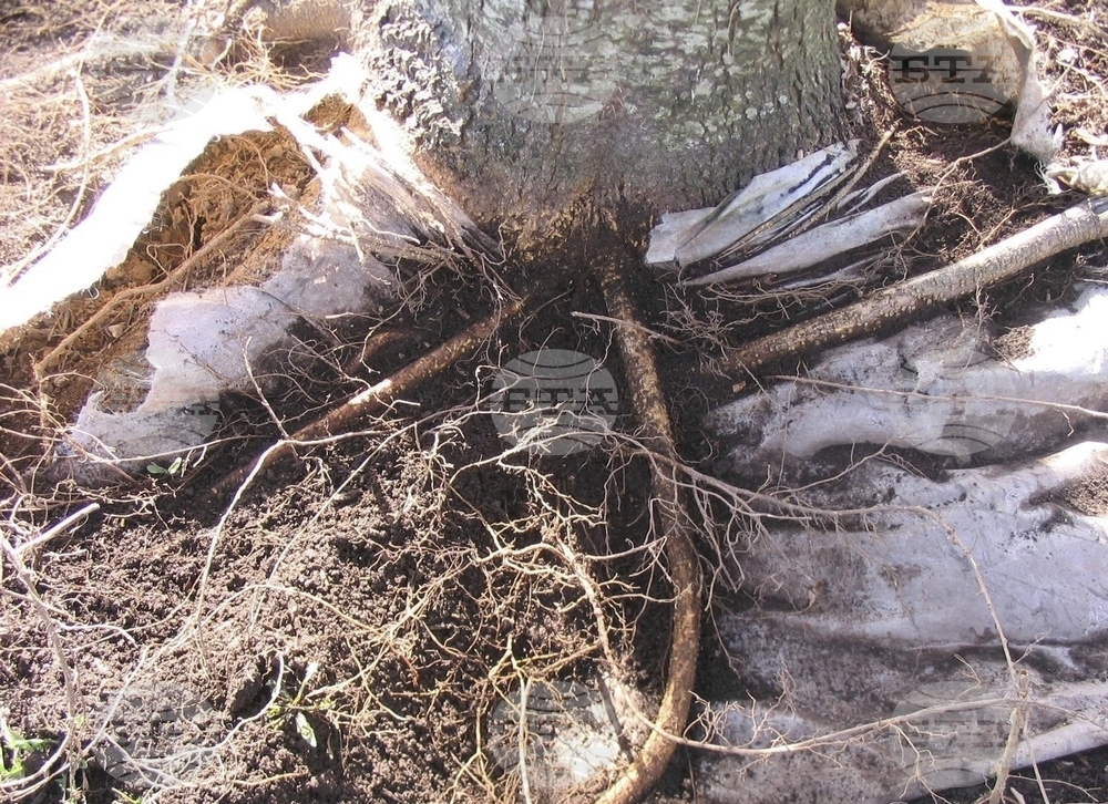 Gardening - Landscape Fabrics