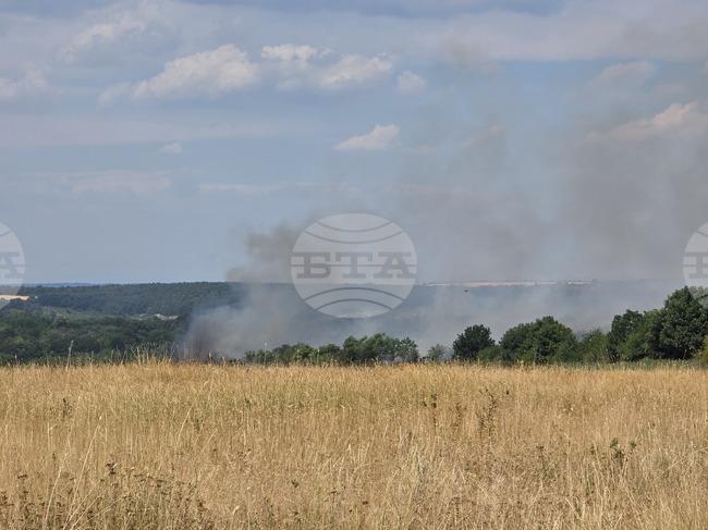Пожар унищожи 30 декара ечемик и 20 декара люцерна в землището на село Дреновец