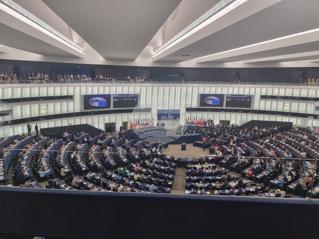 European Parliament Removes Phrase “Macedonian Language and Identity” from North Macedonia's Progress Report on EU Path