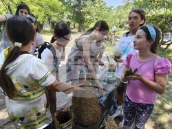 Кърджали - музей - пчели