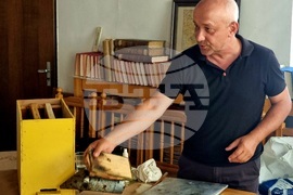 Кърджали - музей - пчели