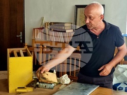 Кърджали - музей - пчели