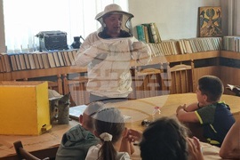 Кърджали - музей - пчели