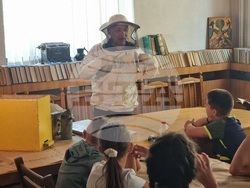 Кърджали - музей - пчели