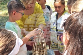 Кърджали - музей - пчели