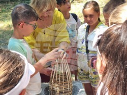 Кърджали - музей - пчели