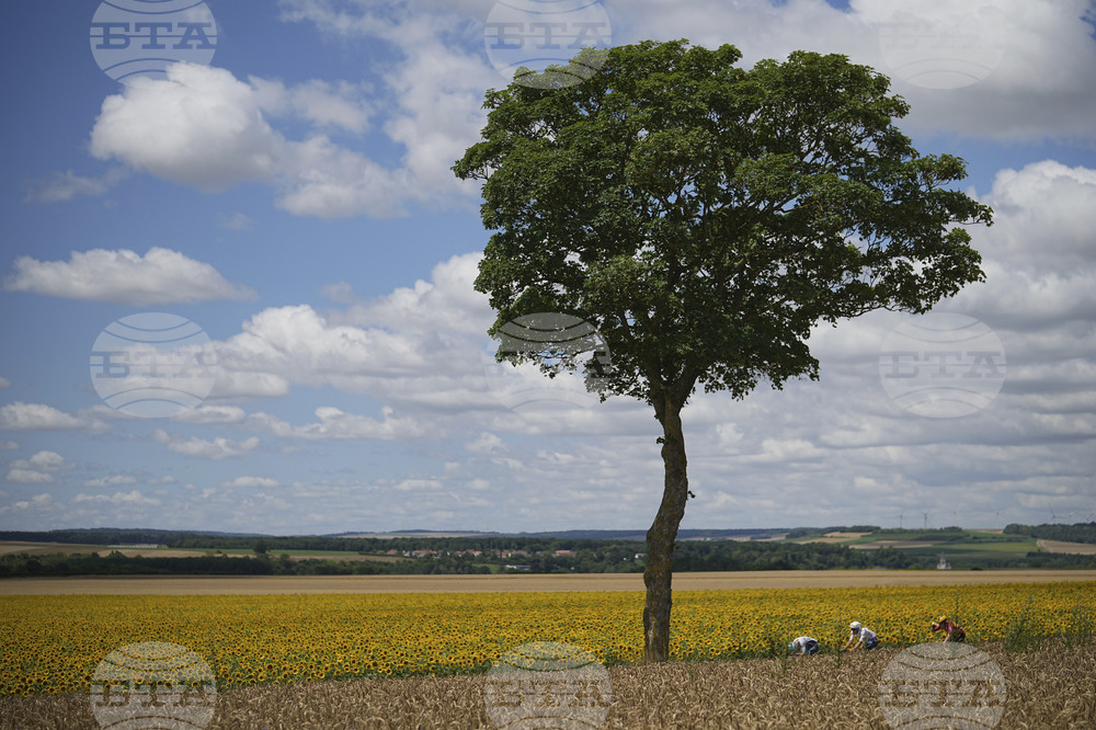 Cycling Tour de France