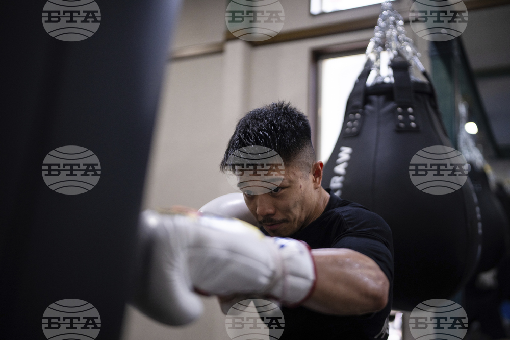 Japanese Boxers