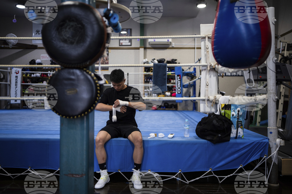 Japanese Boxers