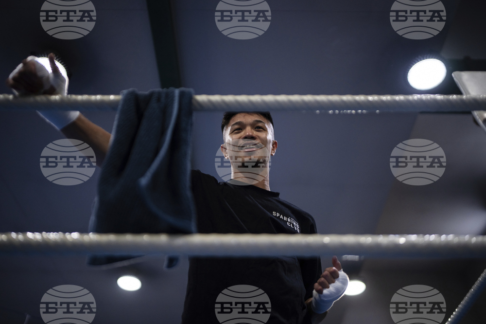 Japanese Boxers
