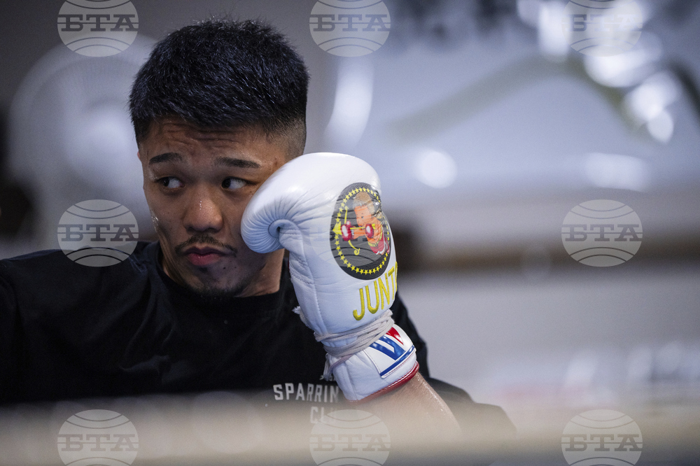 Japanese Boxers