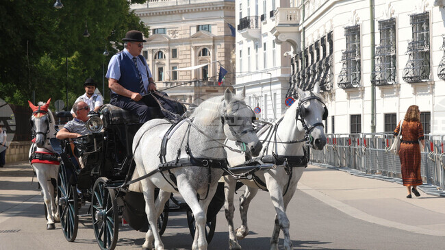 С между 15 и 30 процента по-малко хотелски резервации за великденските празници са направени във Виена тази година
