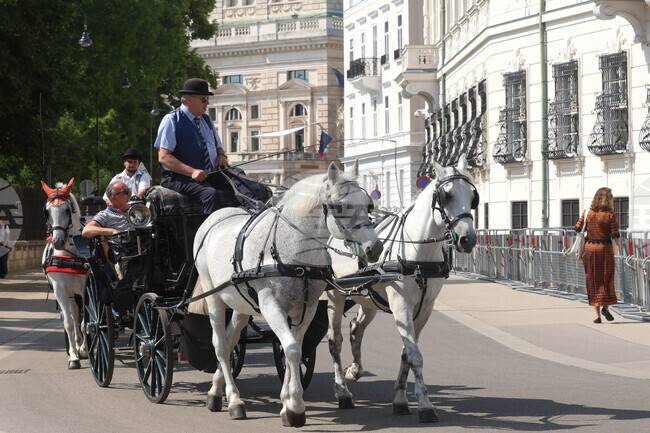 С между 15 и 30 процента по-малко хотелски резервации за великденските празници са направени във Виена тази година