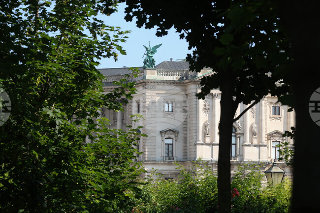 Виена използва 400 000 литра вода дневно за защита на градските дървета от жегата