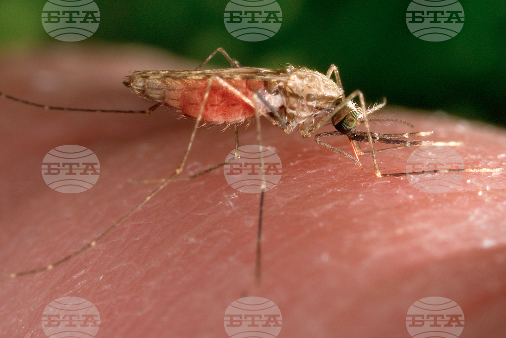 Switzerland Malaria Infants