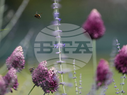 Britain Wimbledon Tennis