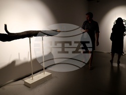 Триъгълната кула на Сердика - „Моден дизайн“ - изложба