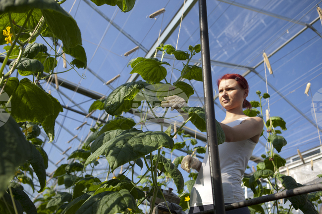 ЕК събира мнения и коментари за стратегията за насърчаване на приемствеността между поколенията