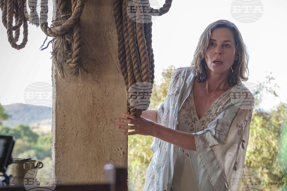 Film Review - Don’t Let’s Go to the Dogs Tonight