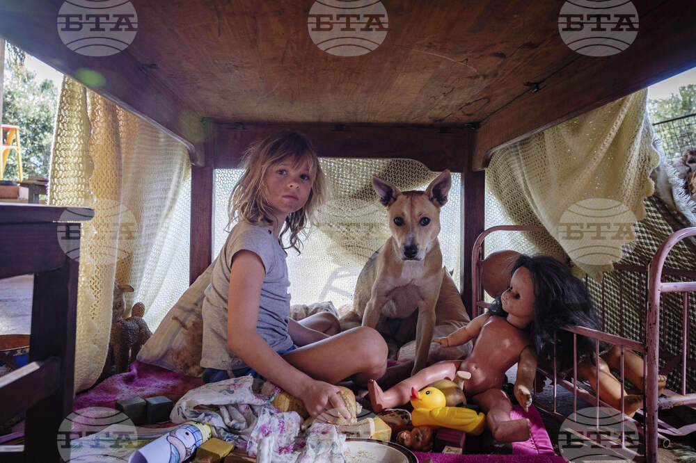 Film Review - Don’t Let’s Go to the Dogs Tonight