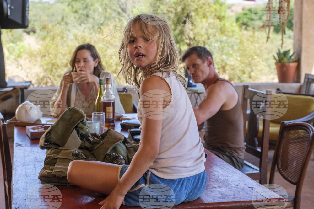 Film Review - Don’t Let’s Go to the Dogs Tonight