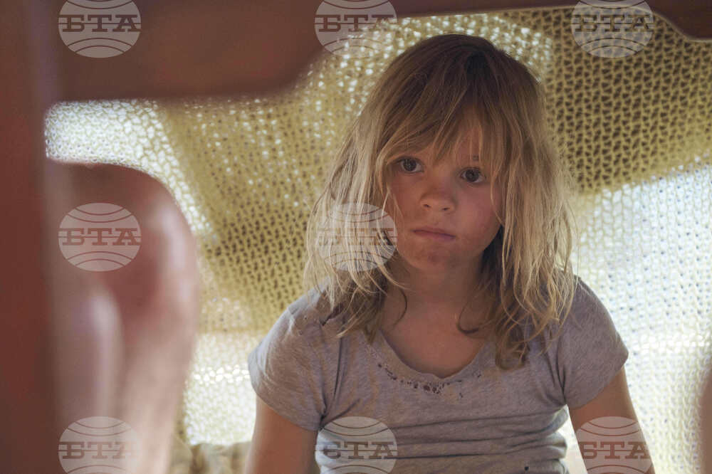 Film Review - Don’t Let’s Go to the Dogs Tonight