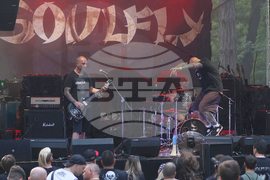 Soulfly - концерт