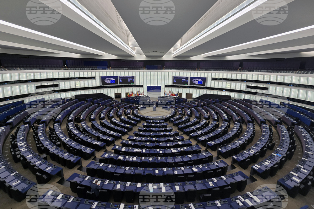 Report on North Macedonia's Progress towards EU Membership Discussed in Strasbourg