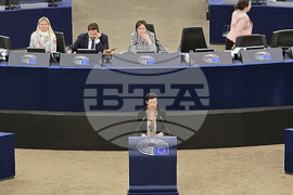 Франция - Европейски парламент - Република Северна Македония - доклад