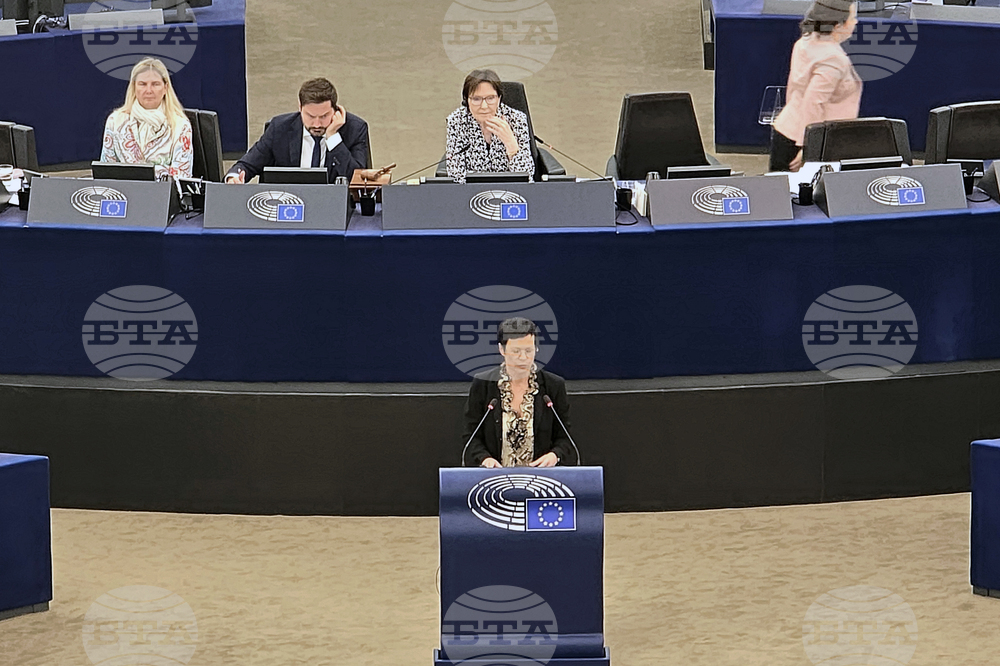Франция - Европейски парламент - Република Северна Македония - доклад