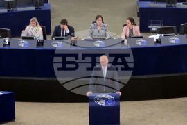 Франция - Европейски парламент - Република Северна Македония - доклад