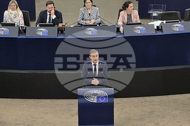 Франция - Европейски парламент - Република Северна Македония - доклад