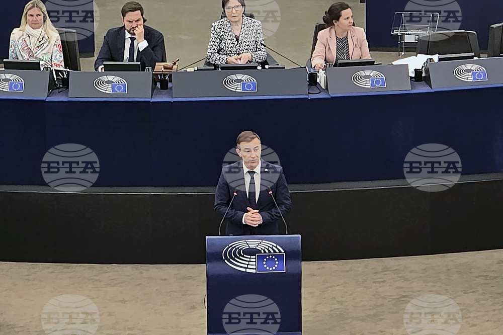 Франция - Европейски парламент - Република Северна Македония - доклад