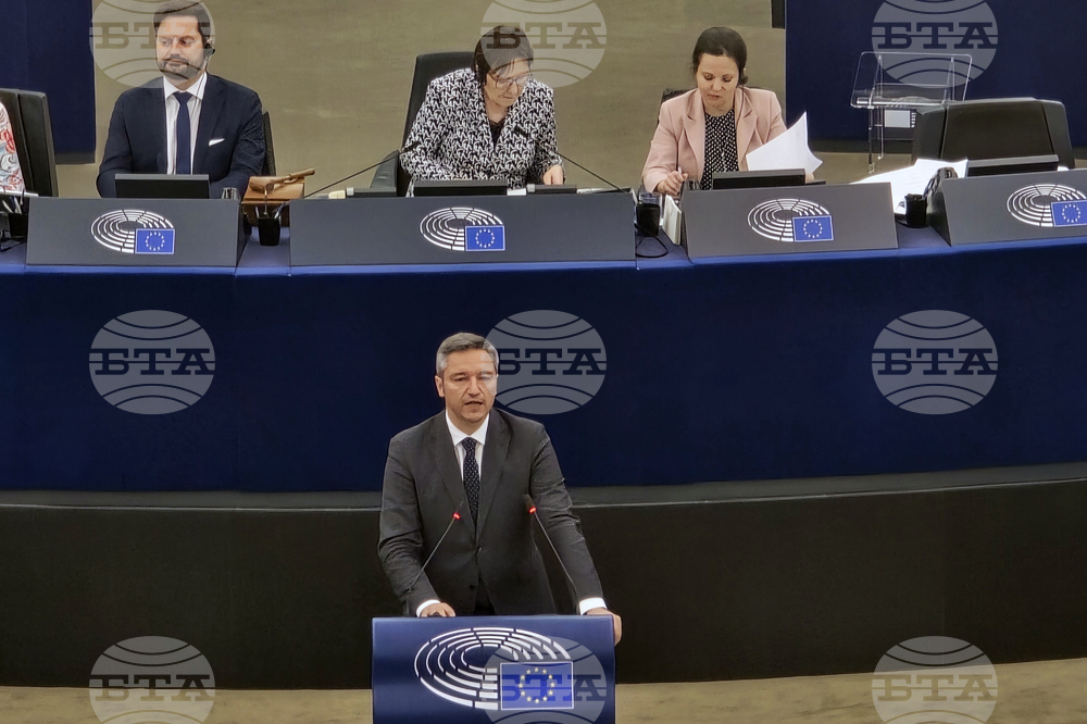 Франция - Европейски парламент - Република Северна Македония - доклад