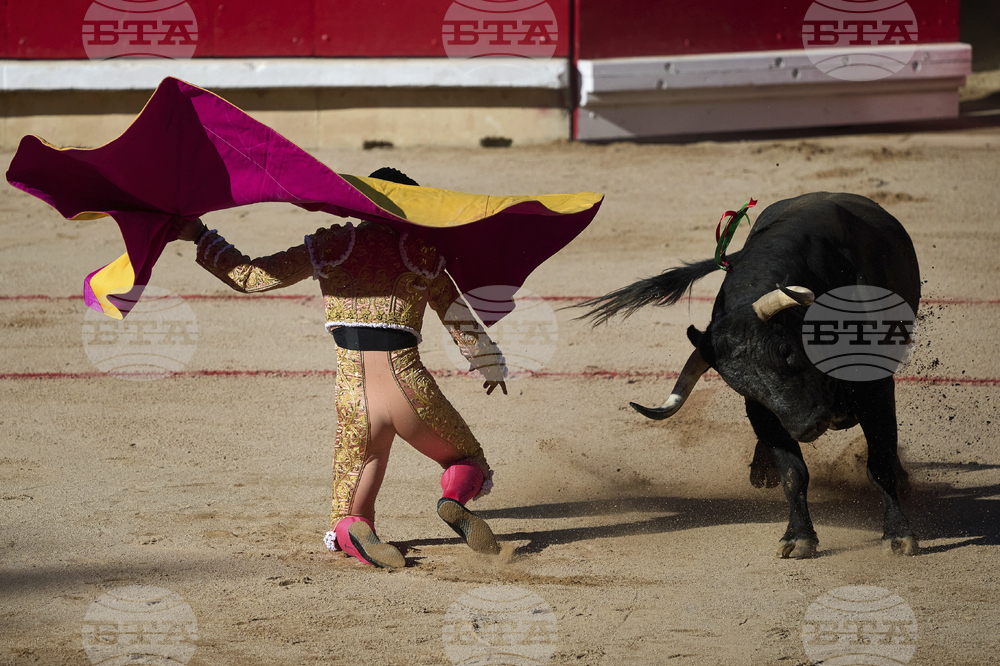 Spain Running of the Bulls