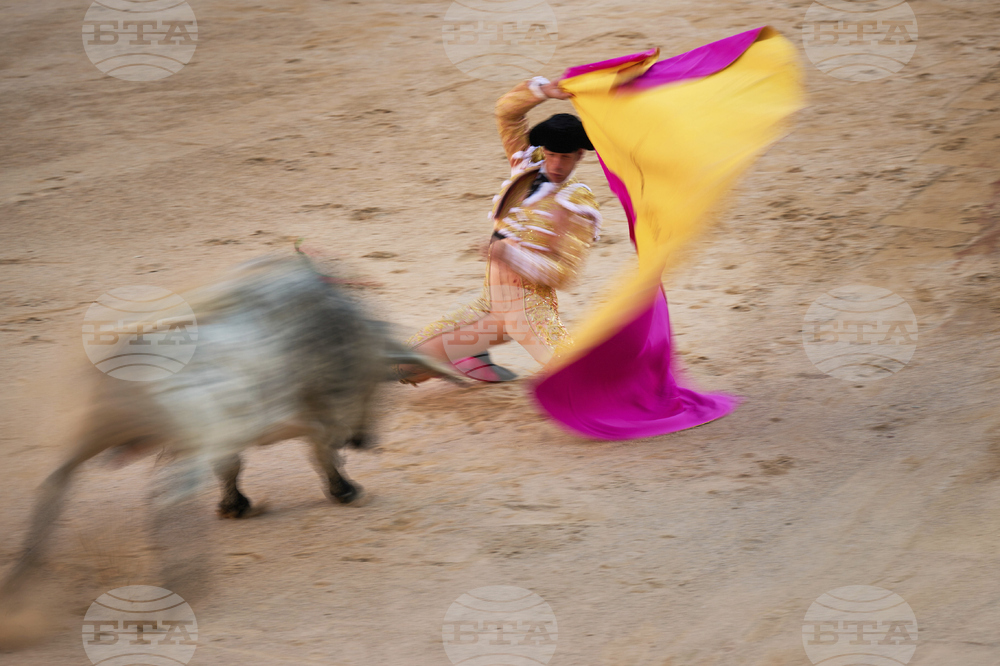 Spain Running of the Bulls