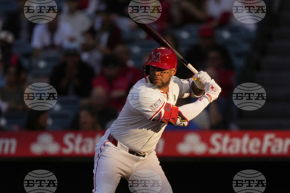 Angels Moncada Baseball
