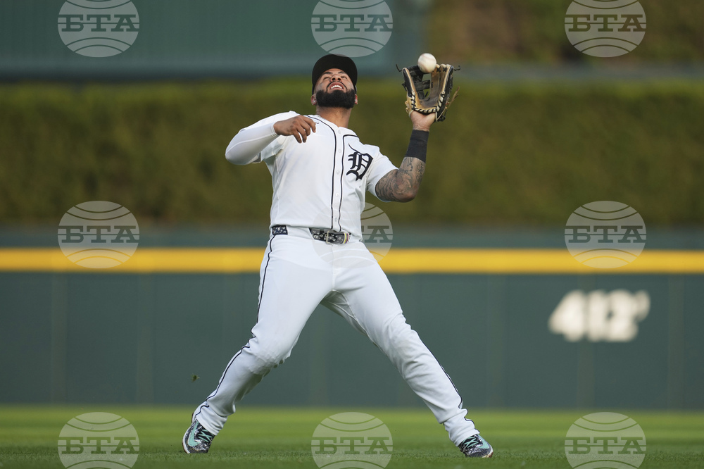 Rays Tigers Baseball