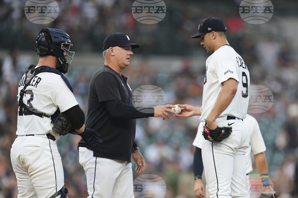 Rays Tigers Baseball