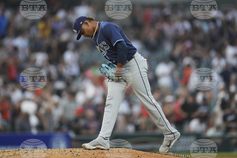 Rays Tigers Baseball