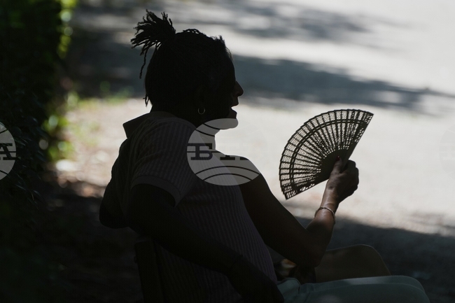  Горещи вълни в скандинавските страни са поне десет пъти по-вероятни заради климатичните промени, предупредиха учени