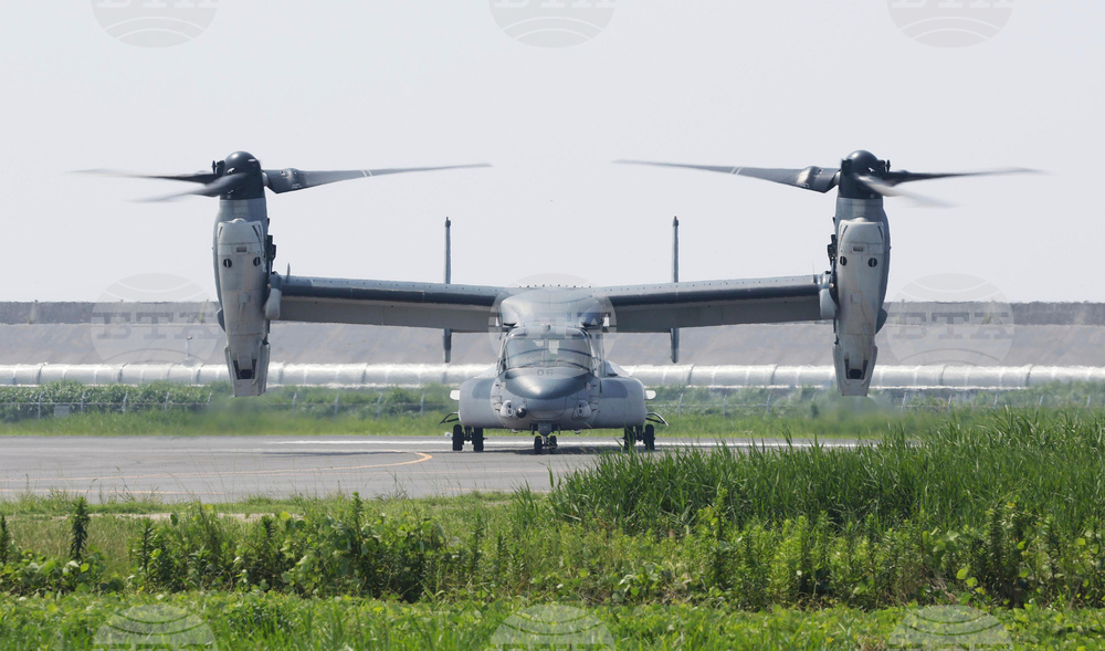 Japan Osprey