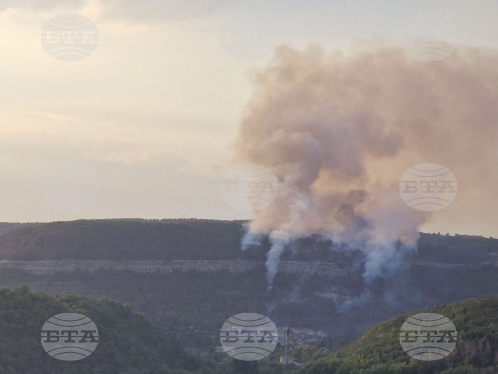 Пожар гори във вилна зона в калояновското село Песнопой, задействана е системата BG-ALERT