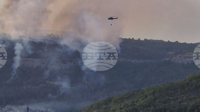 Голям горски пожар в района на турския град Чанаккале предизвика временното затваряне на Дарданелите и евакуацията на няколко населени места 