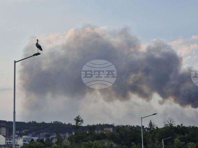 Повече от 50 горски служители участваха в гасенето на пожара край Велико Търново