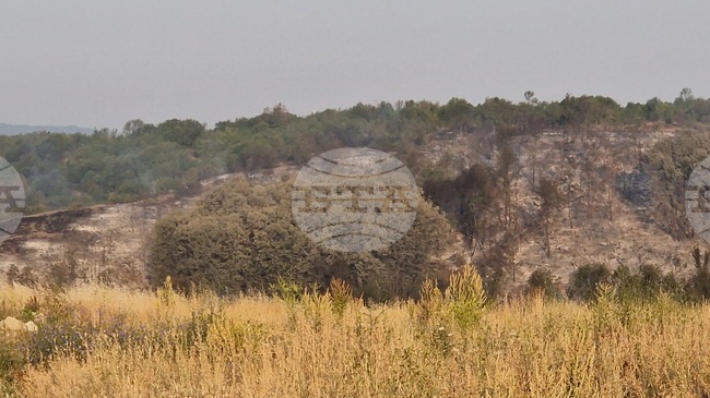 През ноември започва кампанията по залесяване на Гарга баир, където при пожар през юли бяха унищожени около 400 декара гора