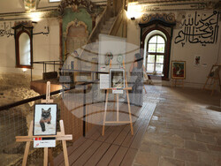 Снимка: Община Стара Загора 