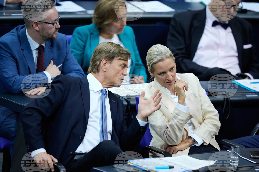 Germany Politics